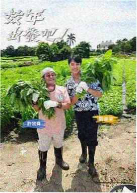 一路向北综艺海报